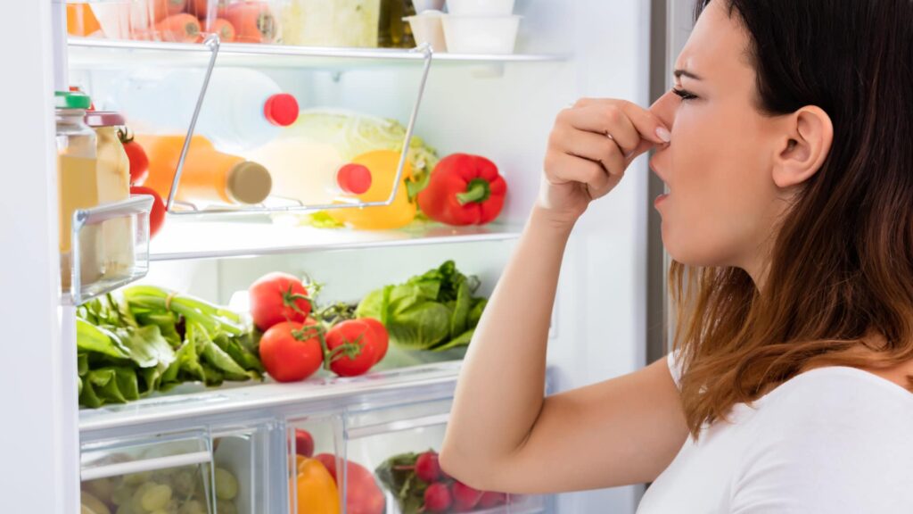 Unpleasant Odors in Your Fridge